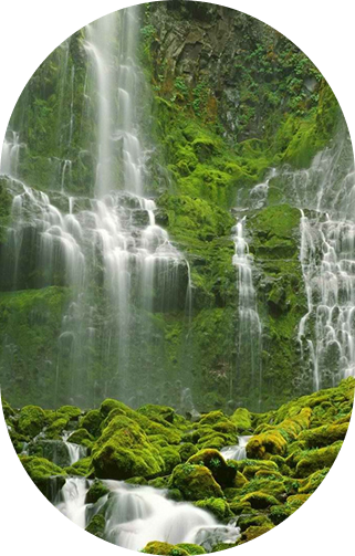 Lorem Ipsum is simply dummy text of the printing and typesetting industry.